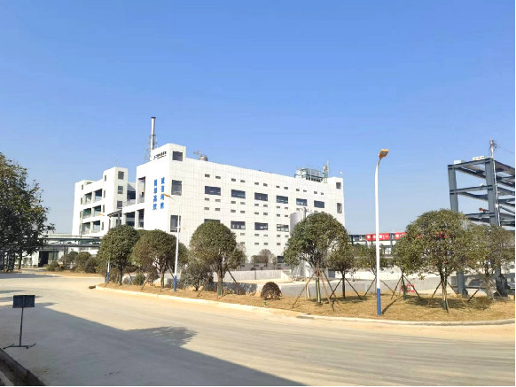 市委書(shū)記王文華一行領(lǐng)導(dǎo)蒞臨福爾程