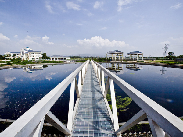 Remediation of Soil Contaminated with Heavy Metals,Nickel removal agent,Fluorine removal agent